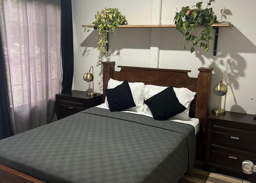 Puntarenas Province Puerto Jiménez Room