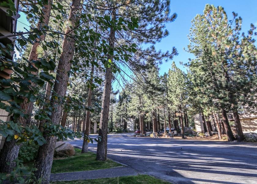 California Mammoth Lakes Property grounds