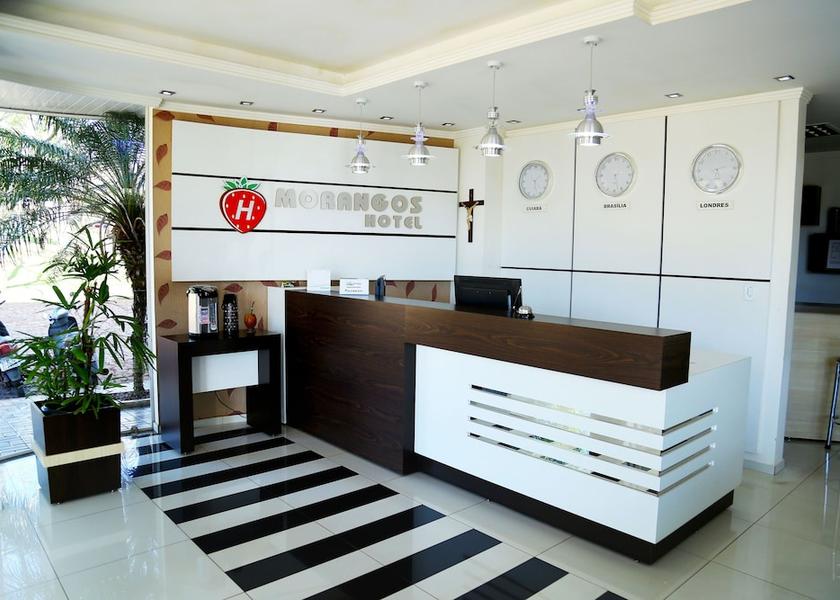 Paraná Realeza Reception