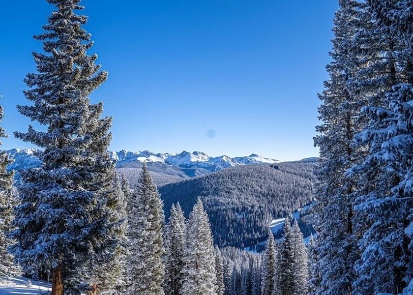 Colorado Vail View from property