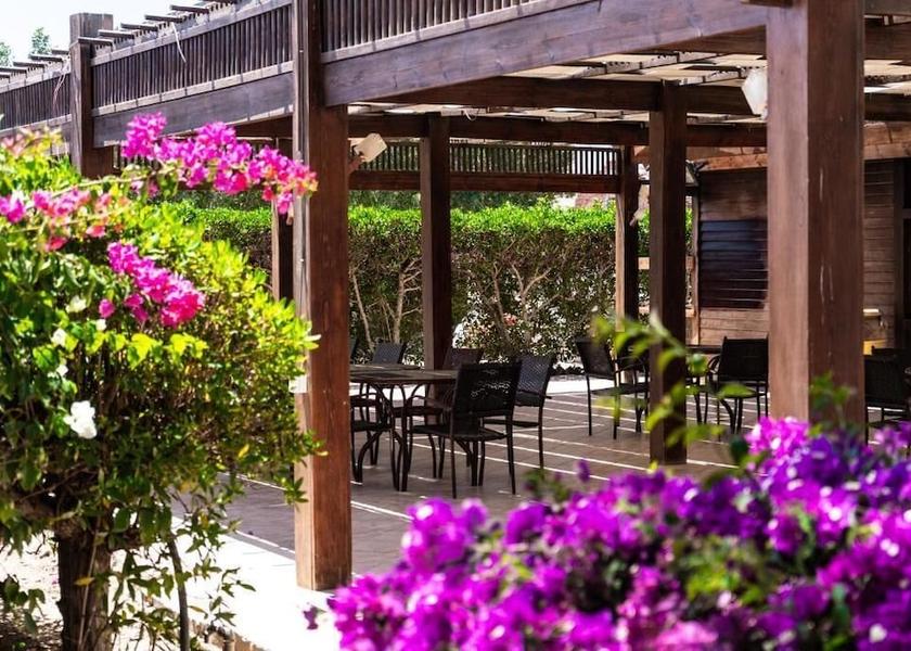 Red Sea Governorate Marsa Alam Outdoor dining