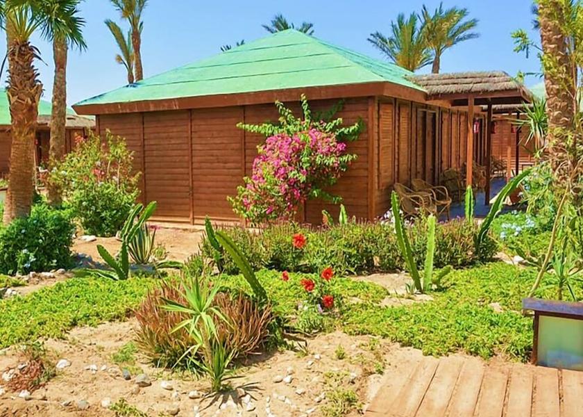 Red Sea Governorate Marsa Alam Bathroom