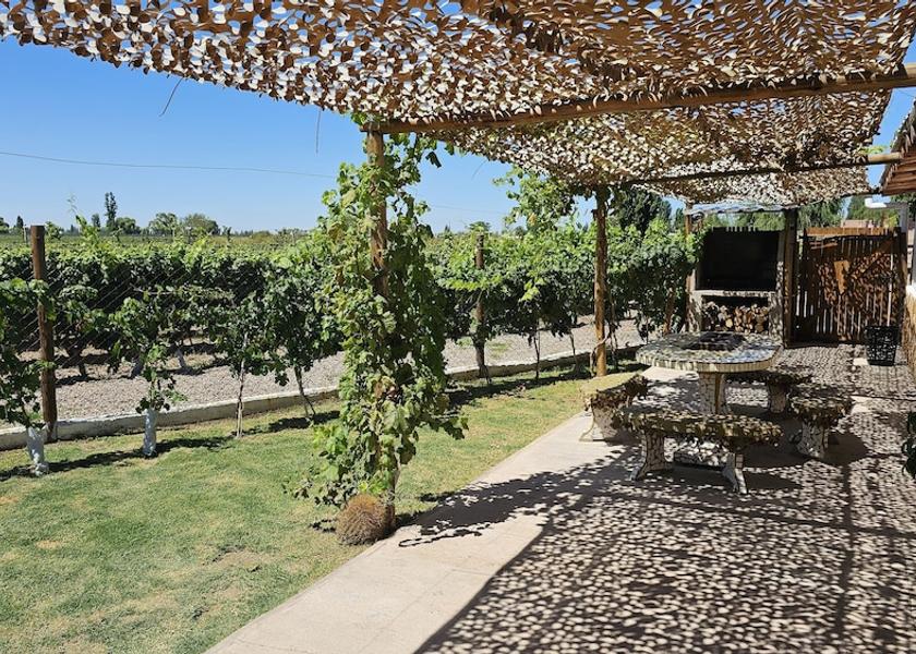 Mendoza Province Luján de Cuyo Terrace/patio