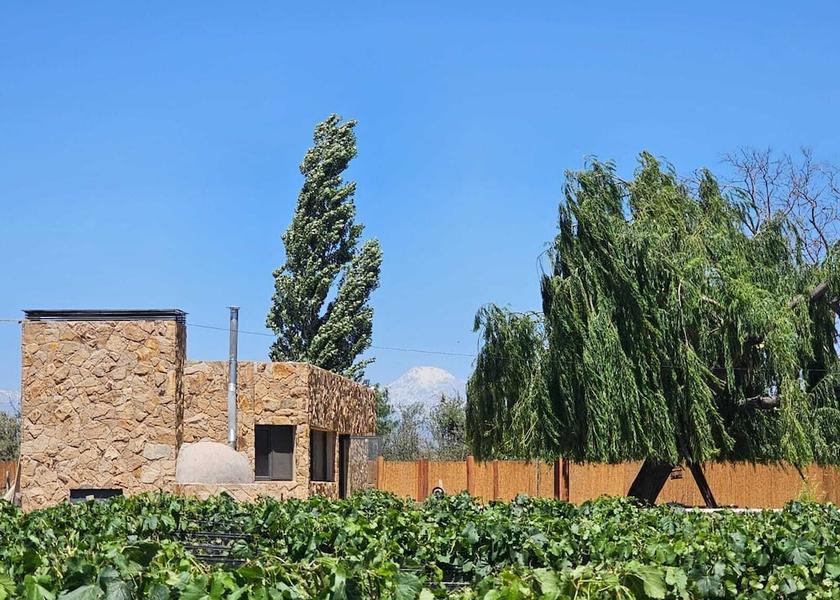 Mendoza Province Luján de Cuyo View from room