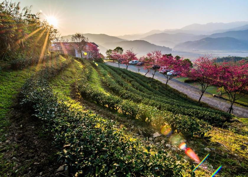 Yilan County Datong Garden