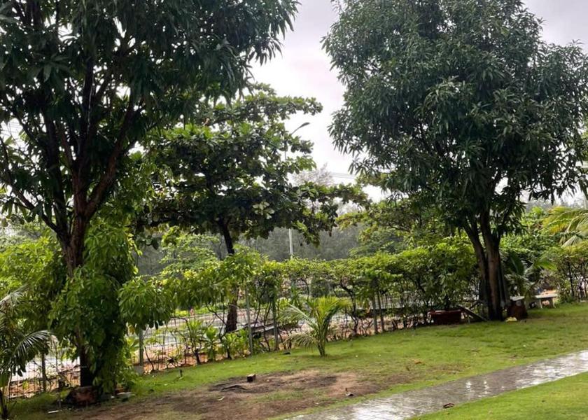 Dak Lak Province Tuy Hoa Surrounding environment