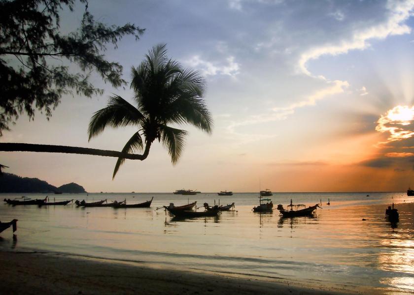 Surat Thani Province Koh Tao 