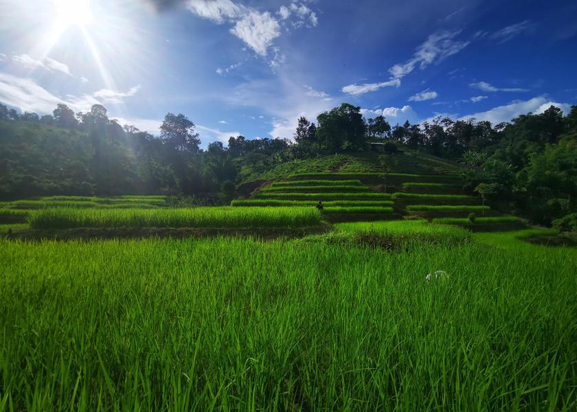 Chiang Mai Province Mae Wang View