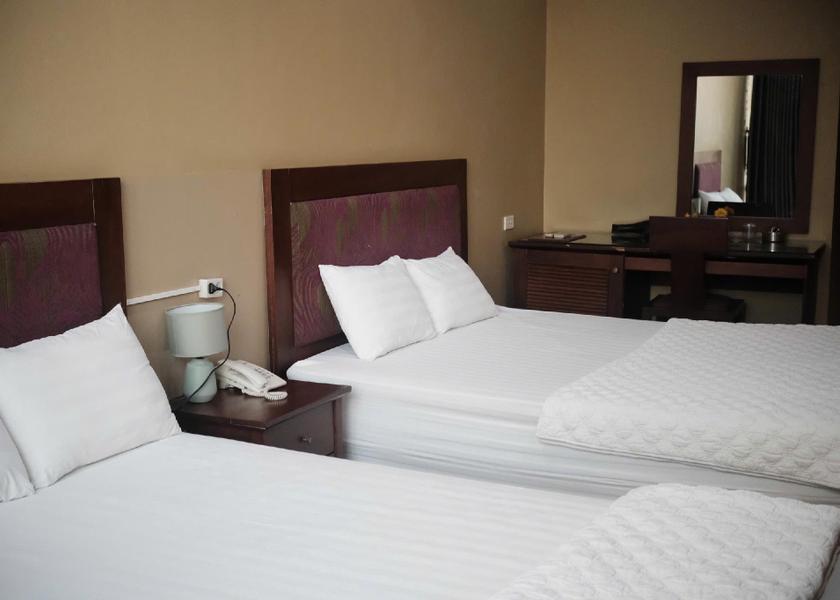 Phu Tho Province Phuc Yen Bed