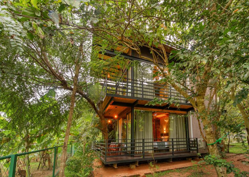 Central Province Sigiriya 