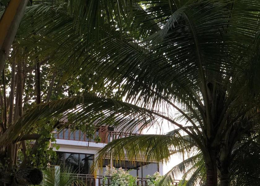 Kaafu Atoll Thulusdhoo Island Exterior view