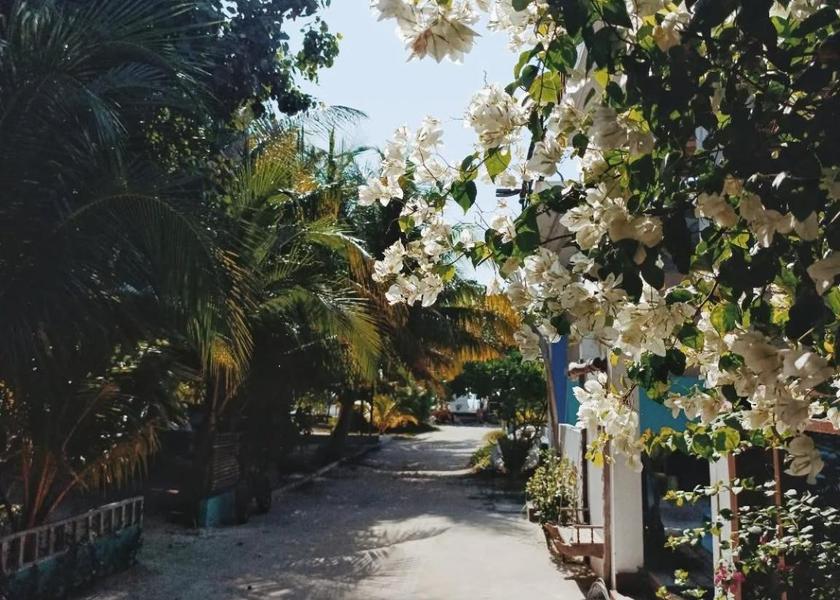 Kaafu Atoll Thulusdhoo Island View