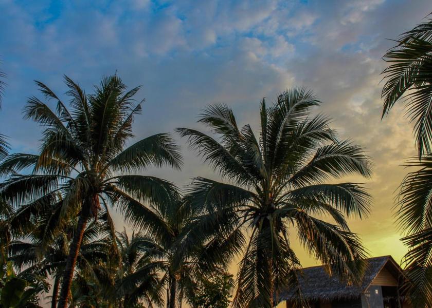 Phang Nga Province Ko Yao Attractions