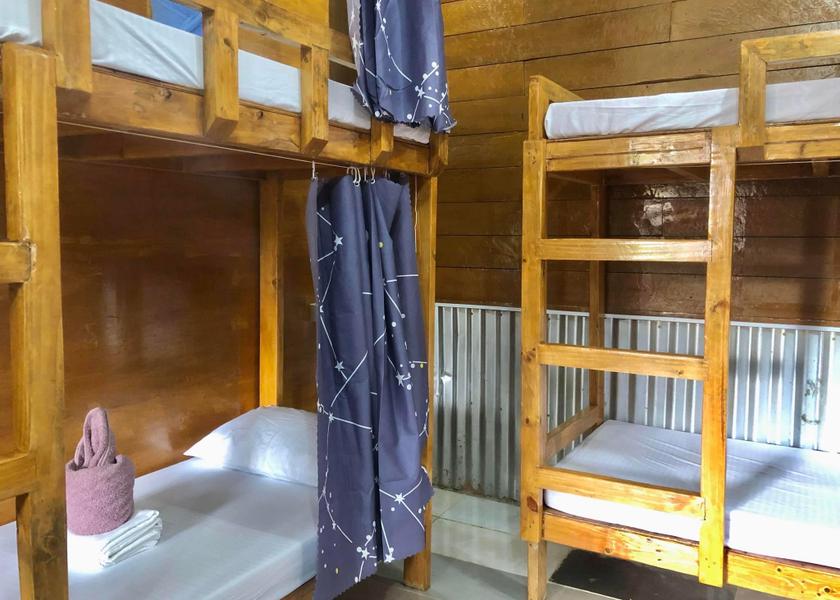 Central Visayas Panglao Mixed Dorm Bed