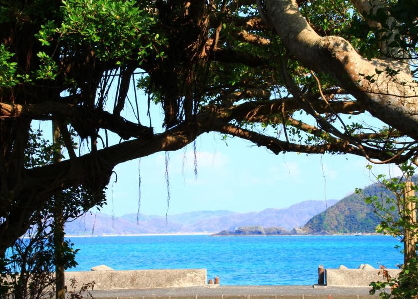 Kagoshima Tatsugo 