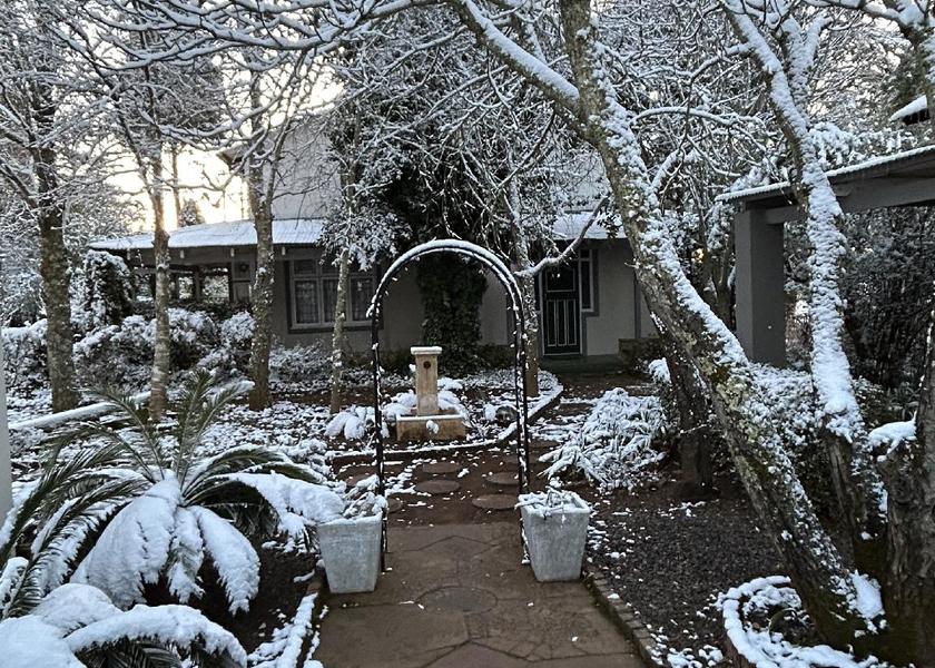 Mpumalanga Dullstroom 