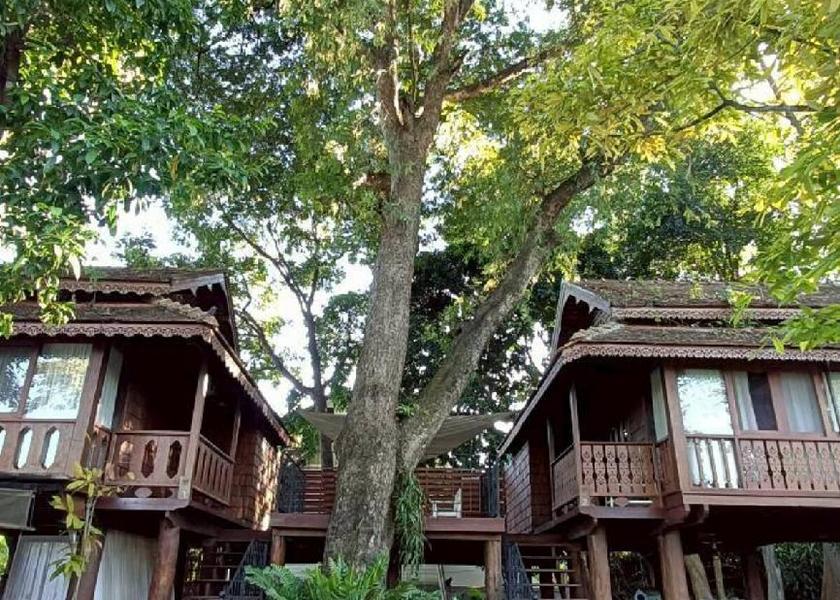 Chiang Mai Province Mae Rim 