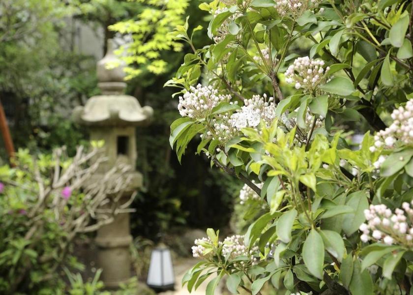 Tokyo Machida Garden