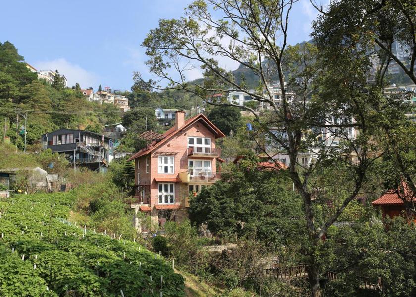 Phu Tho Province Tam Dao Surrounding environment