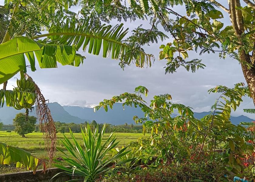 Nakhon Si Thammarat Province Lan Saka 