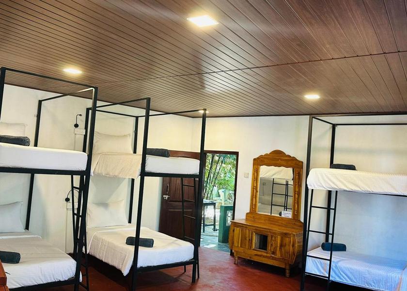 Uva Province Ella Bed in 6-Bed Mixed Dormitory Room