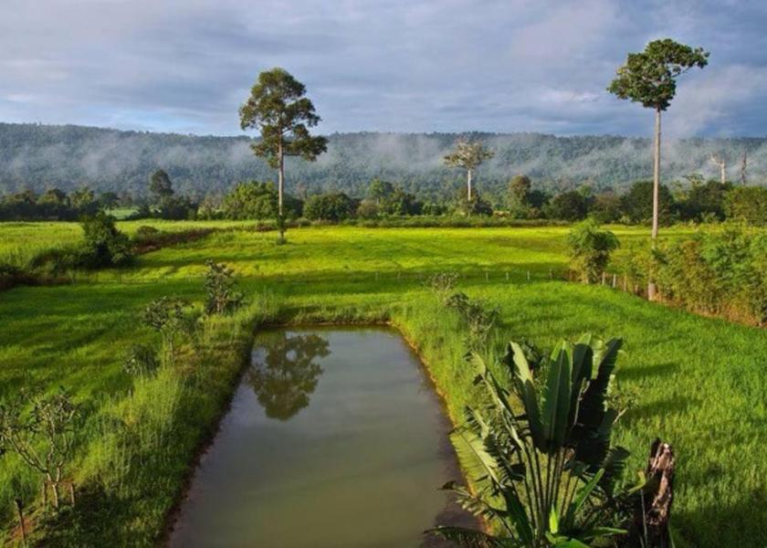 Nakhon Ratchasima Province Wang Nam Khiao Surrounding environment