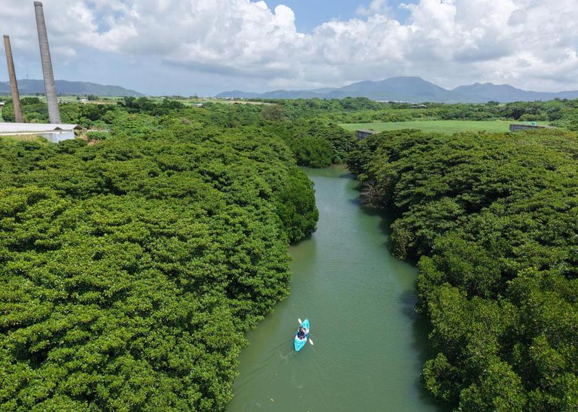 Okinawa Ishigaki Canoeing