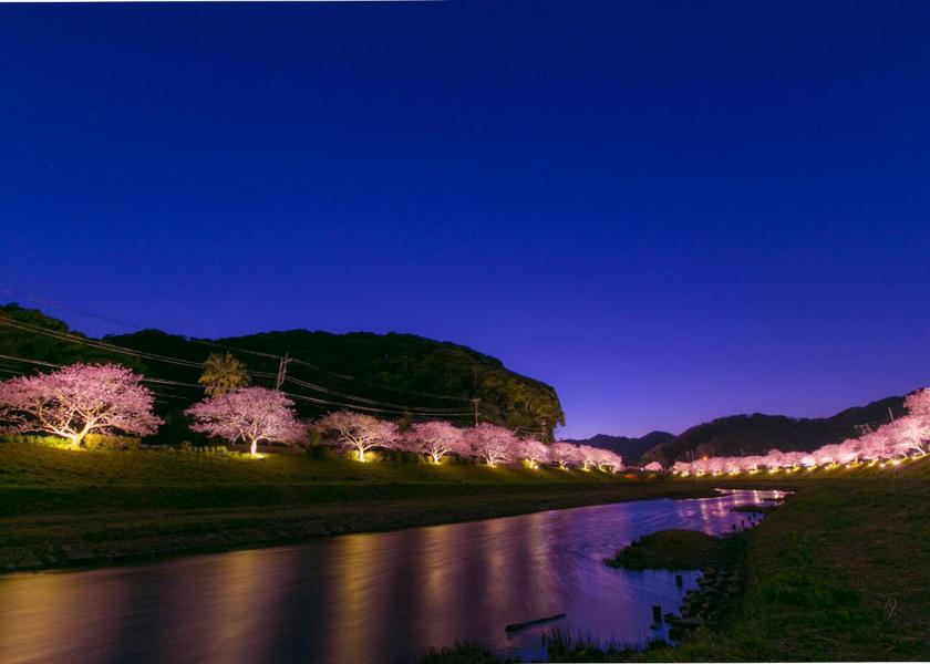 Shizuoka Minamiizu Nearby attraction