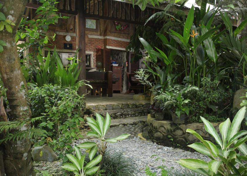 North Sumatra Bukit Lawang Facilities