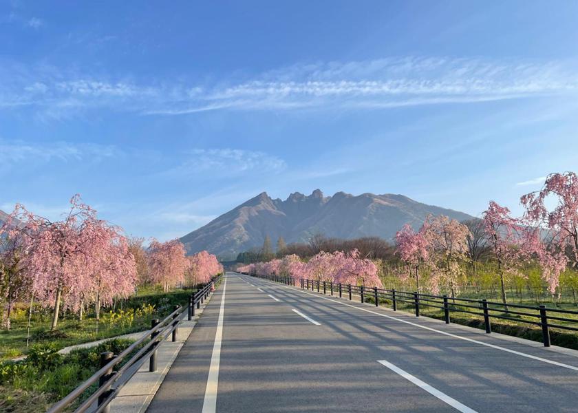 Kumamoto Takamori Nearby attraction