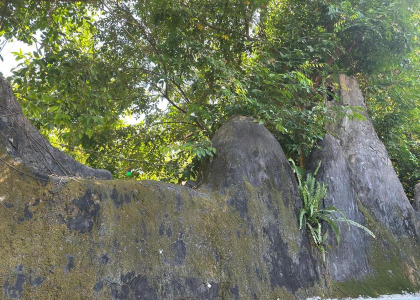 Ho Chi Minh Municipality Xuyen Moc 