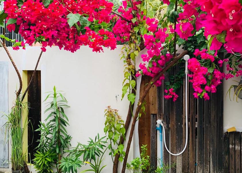 North Ari Atoll Rasdhoo Garden