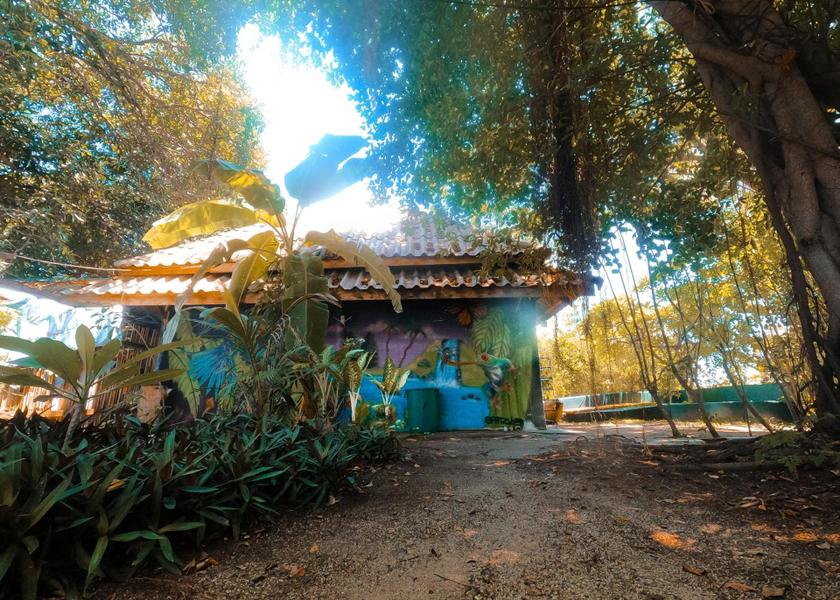 Surat Thani Province Koh Tao Garden