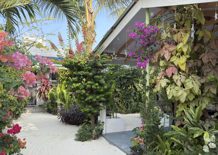 North Ari Atoll Thoddoo Garden