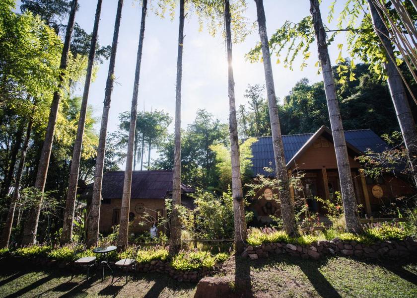 Nan Province Bo Kluea Garden
