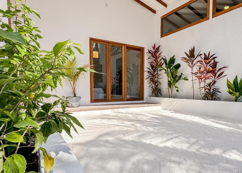 Kaafu Atoll Thulusdhoo Island Garden