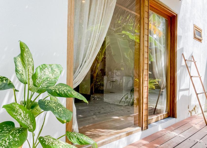 Kaafu Atoll Thulusdhoo Island Garden