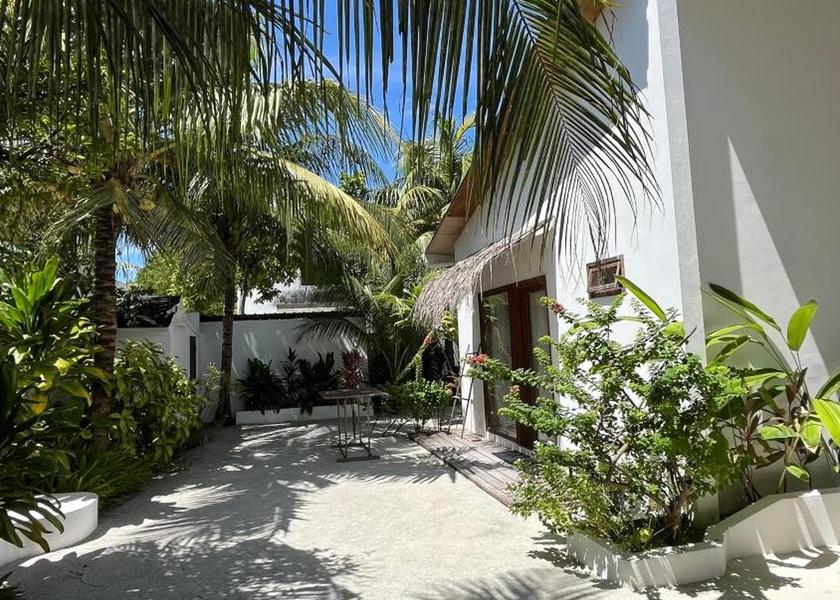 Kaafu Atoll Thulusdhoo Island Garden