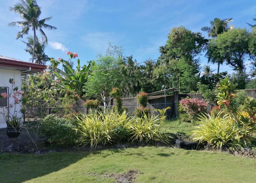 Central Visayas Badian 