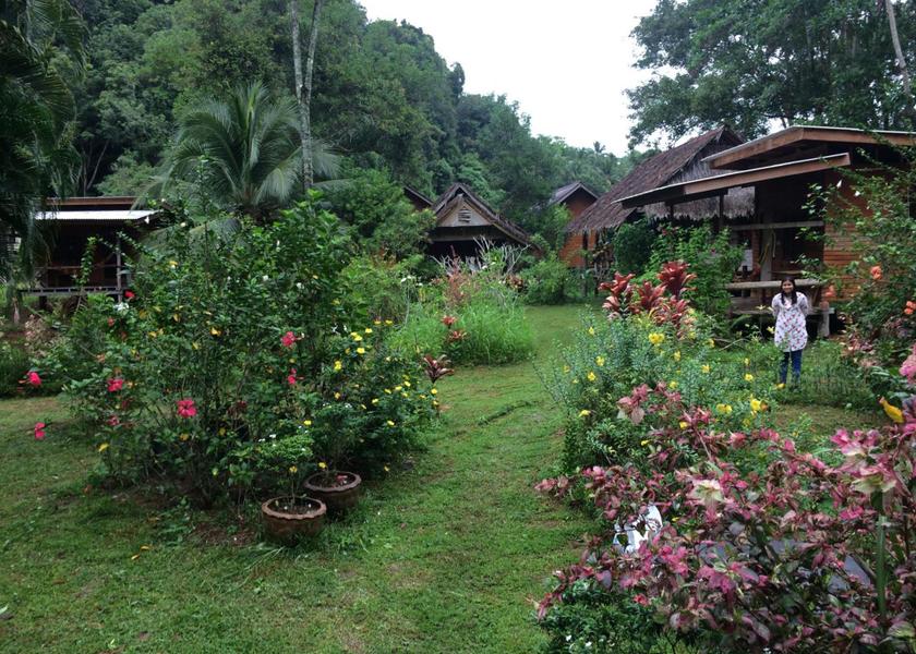 Phang Nga Province Ko Yao Outdoors