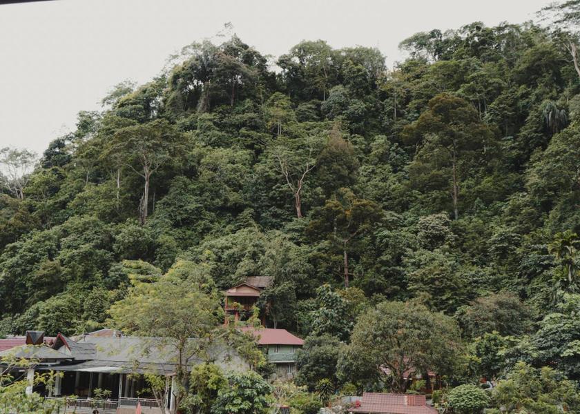 North Sumatra Bukit Lawang Surrounding environment