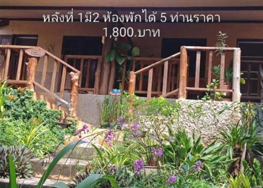Chiang Mai Province Mae On 