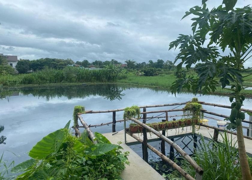 Dak Lak Province Buon Ma Thuot Garden