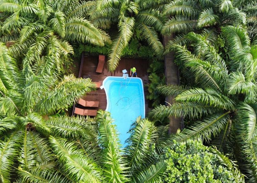 Surat Thani Province Phanom Swimming pool