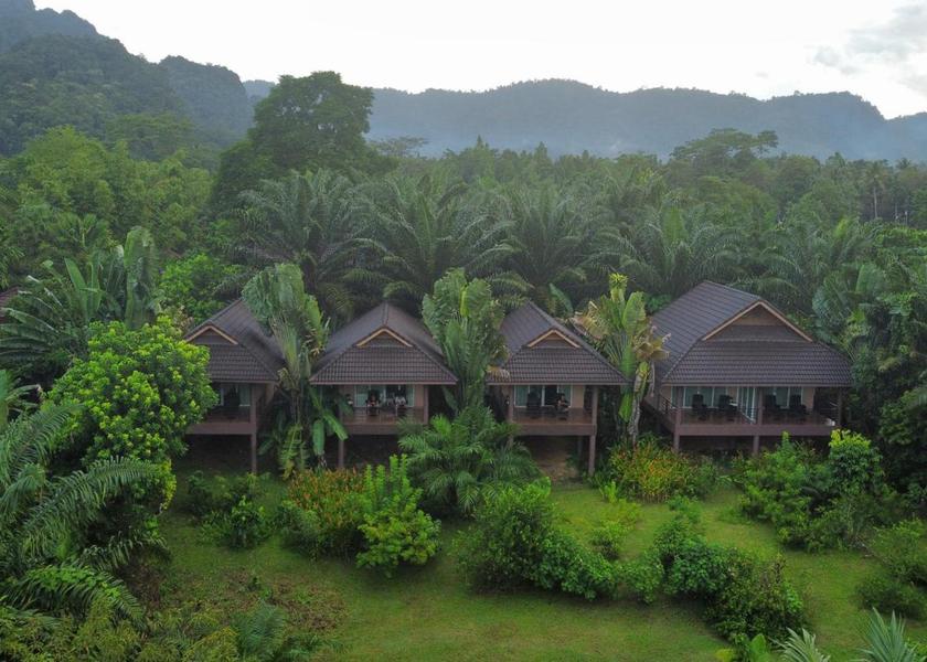Surat Thani Province Phanom Surrounding environment