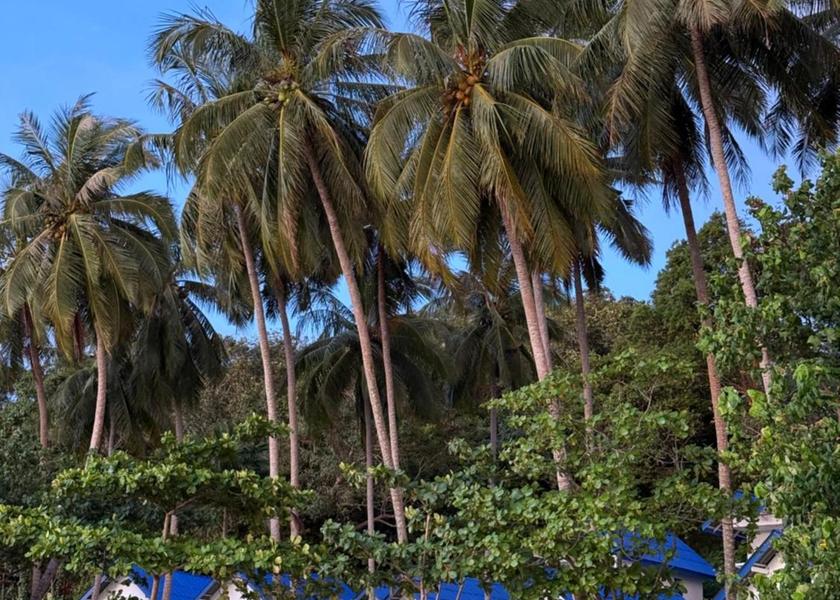 Krabi Province Nuea Khlong Garden