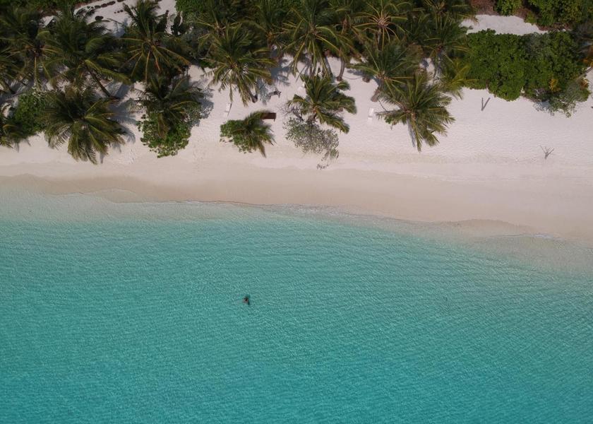 North Ari Atoll Thoddoo Beach