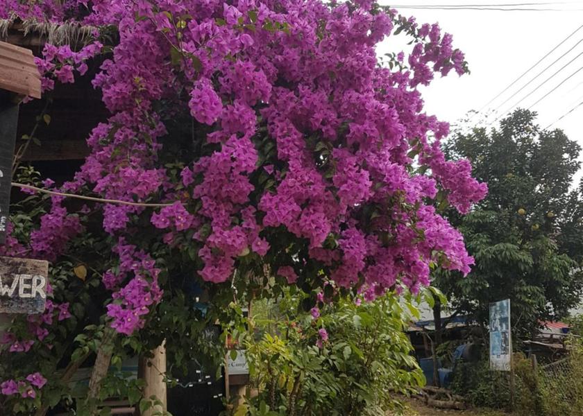 Luang Prabang Province Muang Ngoi Neua Surrounding environment