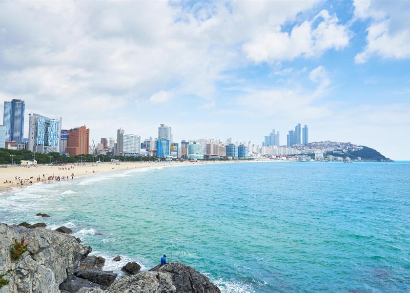  Busan 