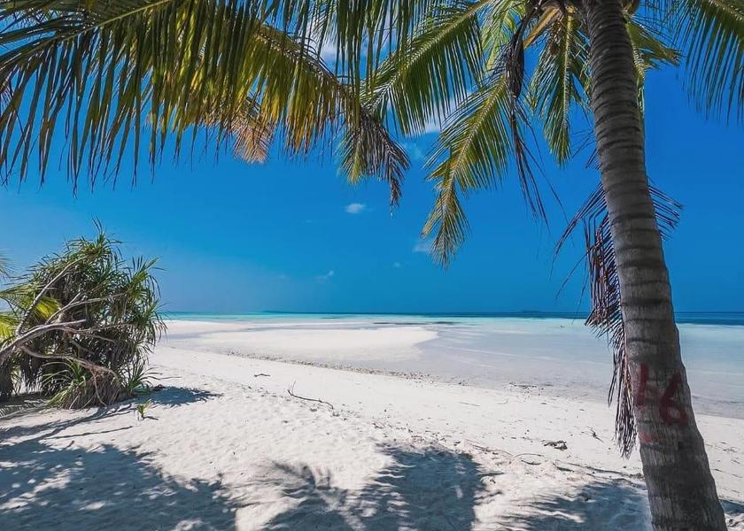 South Ari Atoll Dhangethi Attractions